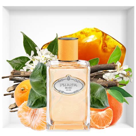 les infusions de prada mandarine|infusion de mandarine fragrance.